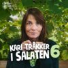 Lydbok - Kari tråkker i salaten #6 Tante Fanny og Wergelands fioler-Kari Slaatsveen