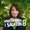 Lydbok - Kari tråkker i salaten #8 Vareopptelling-Kari Slaatsveen