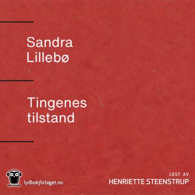 Lydbok - Tingenes tilstand-Sandra Lillebø