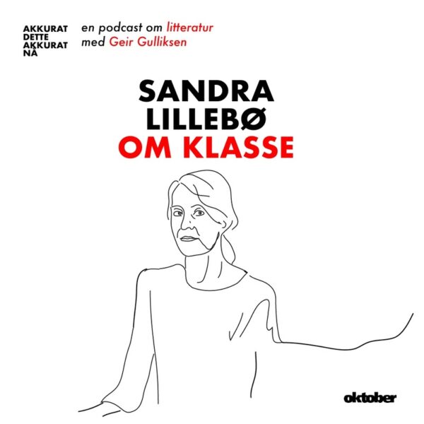 Lydbok - Akkurat dette akkurat nå: Sandra Lillebø om klasse-Sandra Lillebø