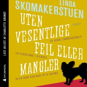 Uten vestentlige feil eller mangler Linda Skomakerstuen lydbok