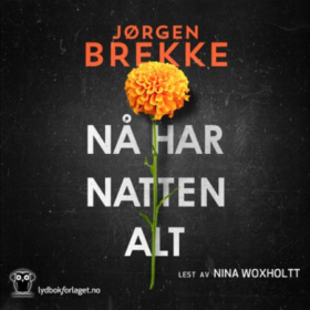 Forsiden til lydboken Nå har natten alt av Jørgen Brekke.