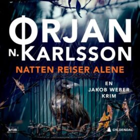 Ørjan Karlsson Natten reiser alene lydbok