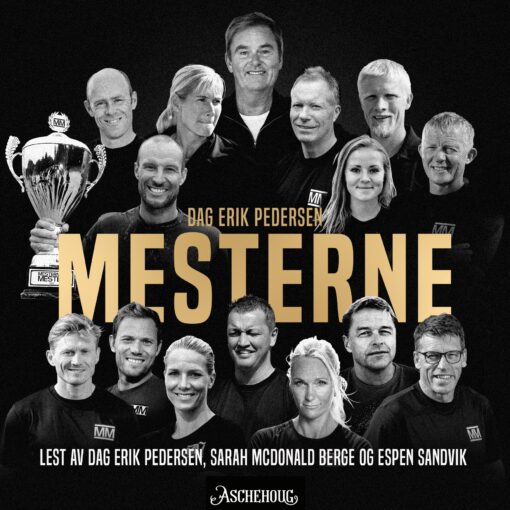 Lydbok - Mesterne-