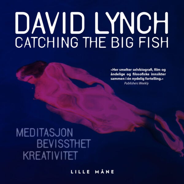 Lydbok - Catching the big fish-