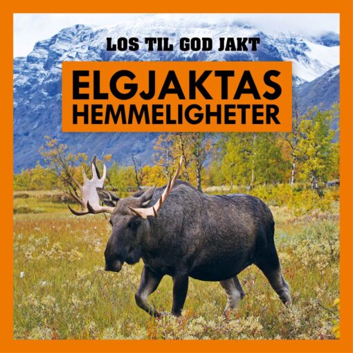 Lydbok - Elgjaktas hemmeligheter-