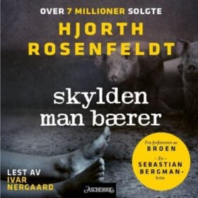 Skylden man bærer Hjorth & Rosenfeldt lydbok Sebastian Bergman