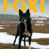 Lydbok - Foxi : sledehunden ingen ville ha-