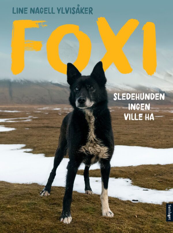 Lydbok - Foxi : sledehunden ingen ville ha-