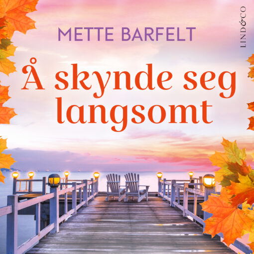 Lydbok - Å skynde seg langsomt-