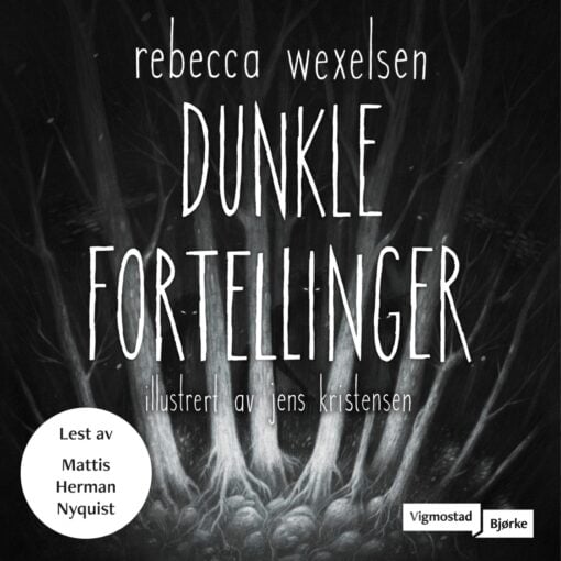 Lydbok - Dunkle fortellinger-