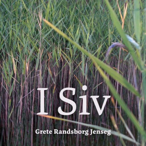 Lydbok - I siv-