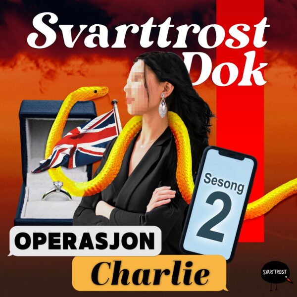 Lydbok - Operasjon Charlie S2 (oppdatering/bonus) Partner in crime?-