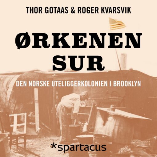 Lydbok - Ørkenen Sur : den norske uteliggerkolonien i Brooklyn-