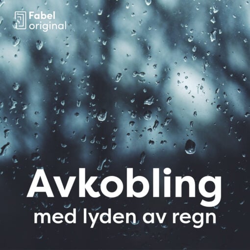 Lydbok - Avkobling med lyden av regn-