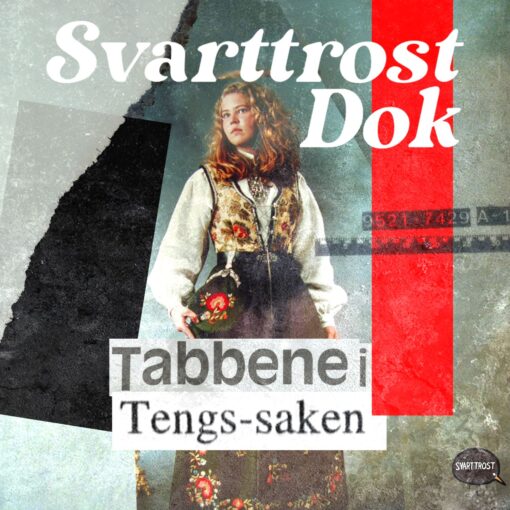 Lydbok - Tabbene i Tengs-saken. Vassbakk-detektiven som ikke fikk svar 4:10-