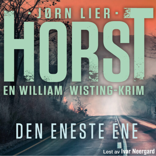 Lydbok - Den eneste ene-