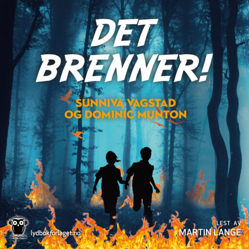 Lydbok - Det brenner!-