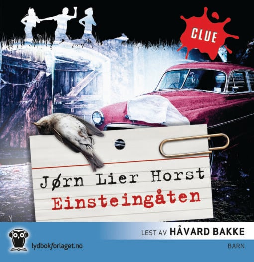 Lydbok - Einsteingåten-