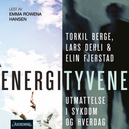 Lydbok - Energityvene : utmattelse i sykdom og hverdag-