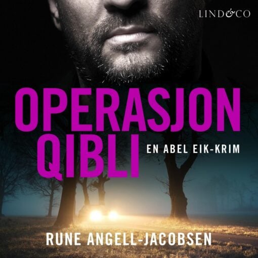 Lydbok - Operasjon Qibli-