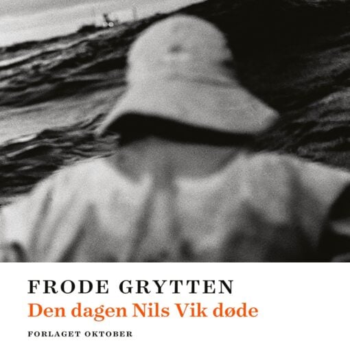 Lydbok - Den dagen Nils Vik døde : roman-