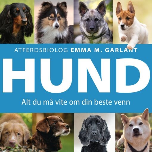 Lydbok - Hund : alt du må vite om din beste venn-