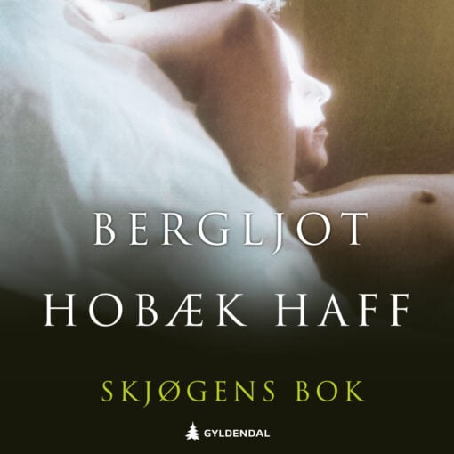 Lydbok - Skjøgens bok-