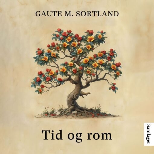 Lydbok - Tid og rom-