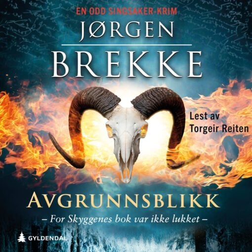 Lydbok - Avgrunnsblikk-