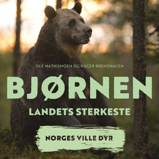 Lydbok - Bjørnen : landets sterkeste-