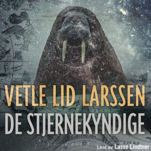 Lydbok - De stjernekyndige : roman-