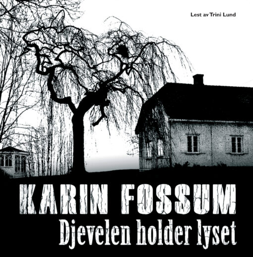 Lydbok - Djevelen holder lyset-