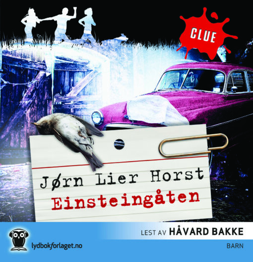 Lydbok - Einsteingåten-