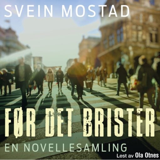 Lydbok - Før det brister : noveller-