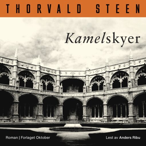 Lydbok - Kamelskyer : roman-