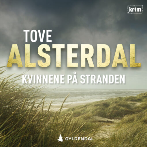 Lydbok - Kvinnene på stranden-