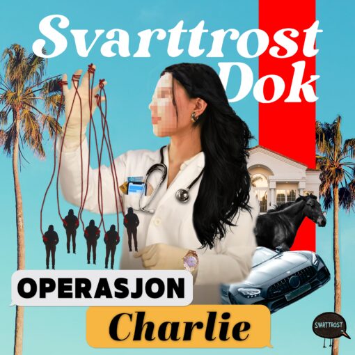 Lydbok - Operasjon Charlie (3:6) Digitale detektiver-