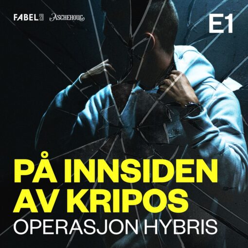 Lydbok - På innsiden av Kripos. Operasjon Hybris 1:6-