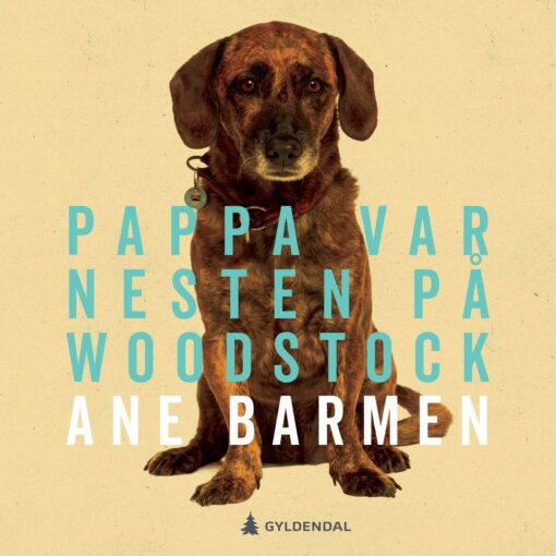 Lydbok - Pappa var nesten på Woodstock-