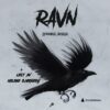 Lydbok - Ravn : corvus corvax-