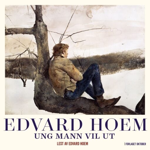 Lydbok - Ung mann vil ut : roman-